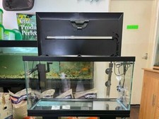 **BRAND NEW** Fish Tank Aquarium Full Setup  Heater Filter, Led & More Included