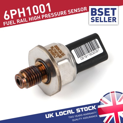 Fuel rail high - rail,