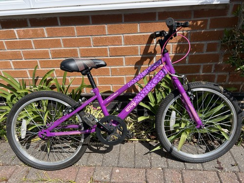 Apollo envy inch kids bike - 20-inch, kids'