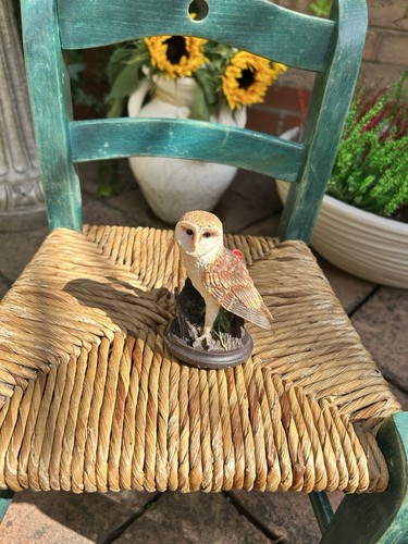 The country bird collection - bird,
