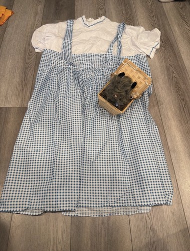 Dorothy wizard oz - wizard,