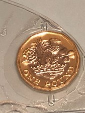 2017 £1 One Pound Coin Floral