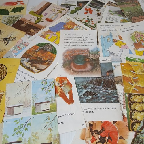 Vintage ladybird book - vintage,