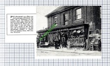 Mayes Wickford Essex  Mr E Thompson - 1969 Small Cutting