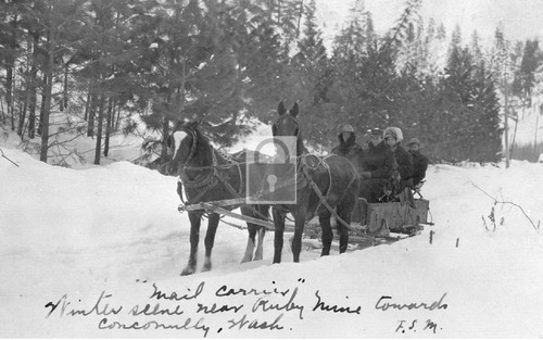 Mail carrier horse - carrier, wagon