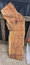 Yew Wood Slab Hardwood Live