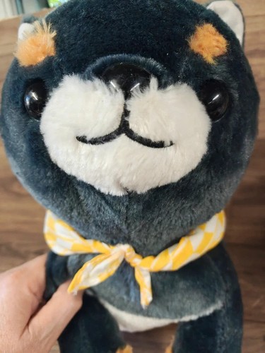 Amuse amufun cute akita inu - cute,
