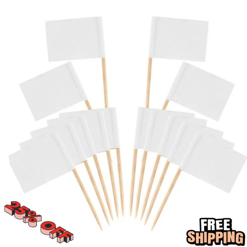 100 pieces blank toothpick - 100,