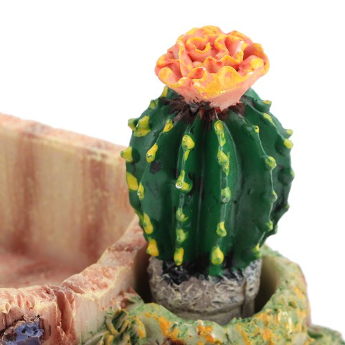 Reptile pet tortoise - reptile,