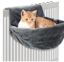 Cat Kitten Hanging Radiator