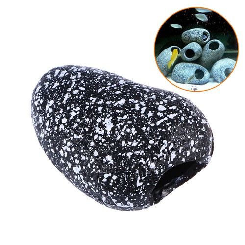 Fish tank cichlid - stone, bream