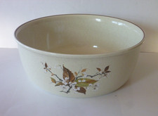 Royal Doulton Wild Cherry