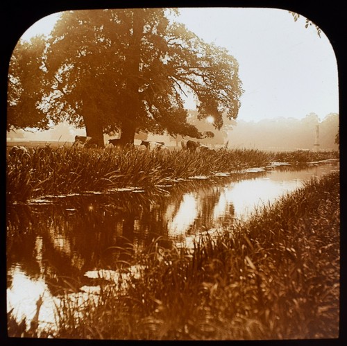 Magic lantern slide - magic,