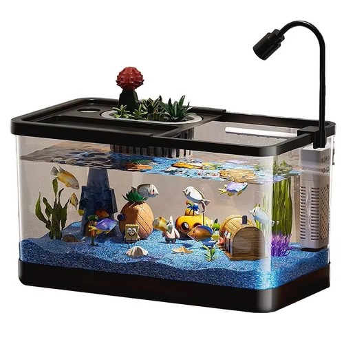 20l aquarium fish tank with - fish,