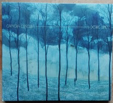 Desire Lines by Camera Obscura