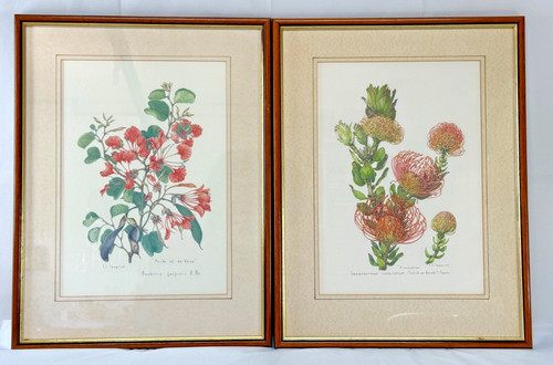 Botanical prints vintage - botanical,