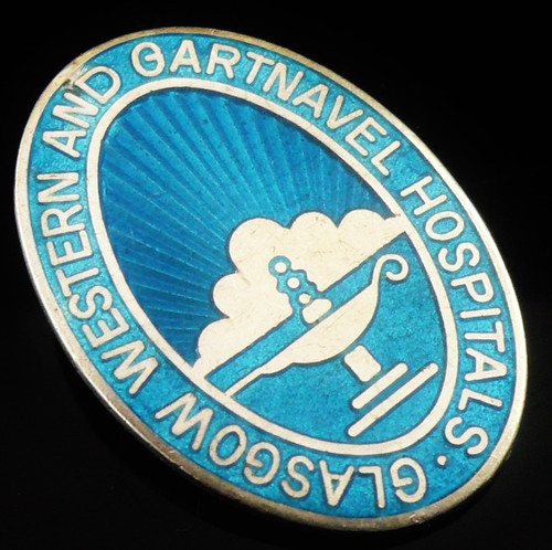 Sterling silver nursing - nursing, badge