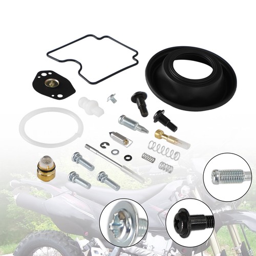Carburetor rebuild repair - carburetor,