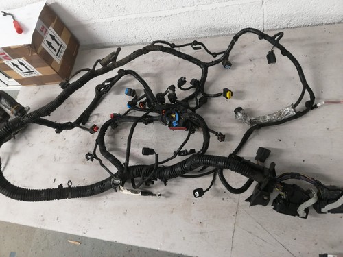 Ford focus engine - focus,