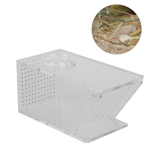 Acrylic aquarium fish tank - fish,