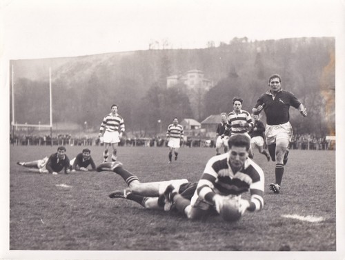 Original press photo - original, rugby
