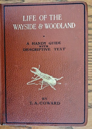 Life the wayside woodland - of, &