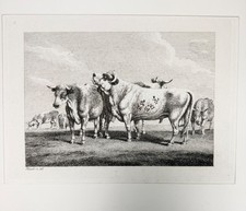 Samuel Howitt Etching "Bulls