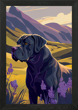 Cane Corso Italiano Nature