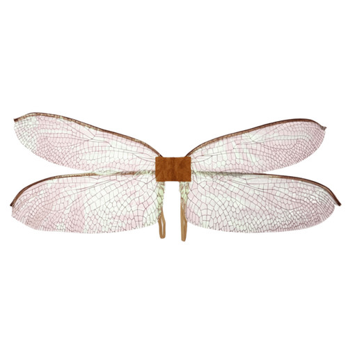 Colorful dragonfly butterfly - colorful,