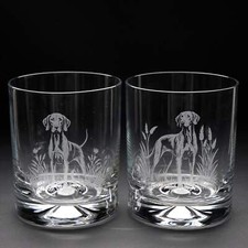 Hungarian Vizsla Dog Whiskey