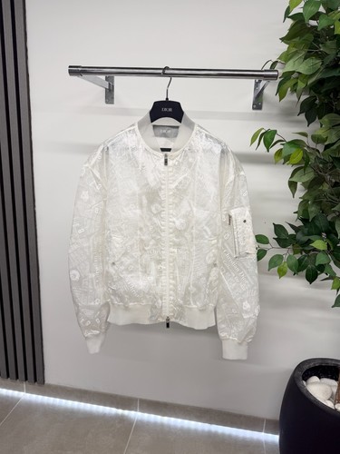 Dior daniel arsham - dior,