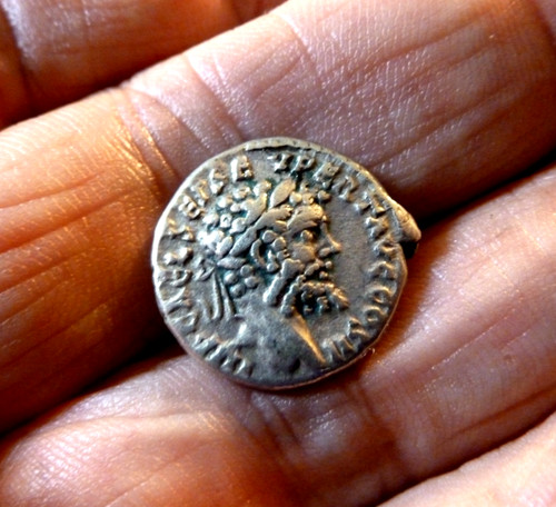 Roman septimius severus - roman.,