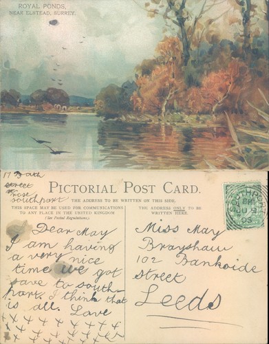 Royal ponds near elstead - near, 1904