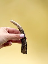 Small Antler Dog Chew – Red Deer | Naturally Shed, Long-Lasting & Tough