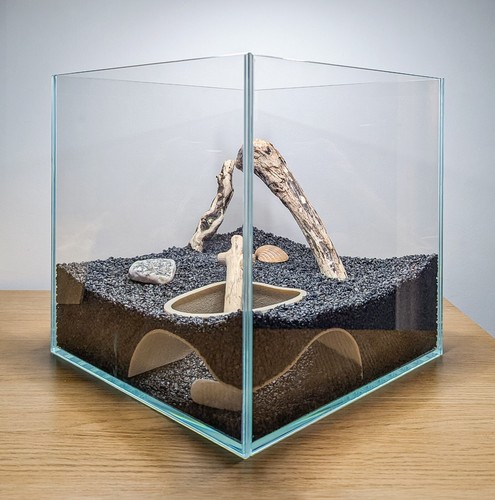 Aquarium reptile corner - aquarium, or