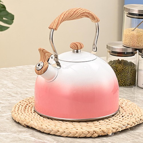 Whistling kettle with spout - whistling,