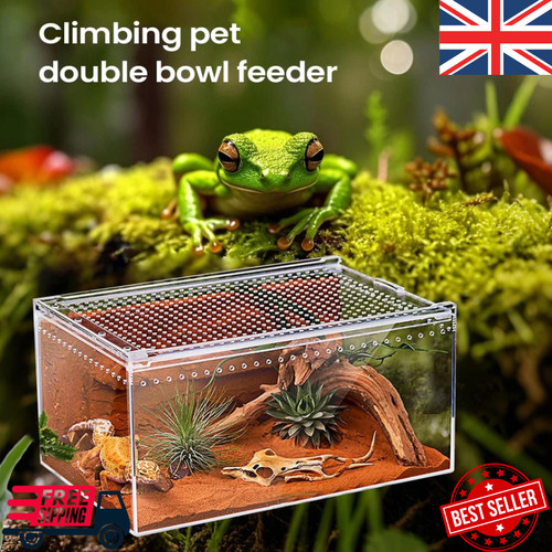 Clear acrylic spider terrarium - spider,