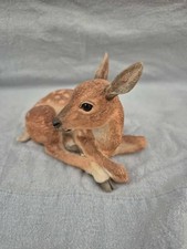 country artists natural world