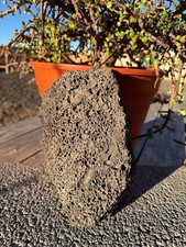 One Large, Black Lava Rock –