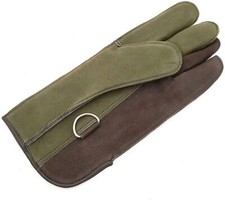 Falconry Glove Leather Bird