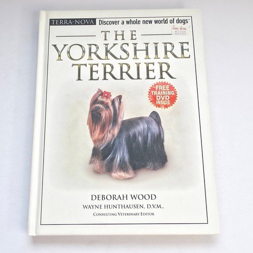 Yorkshire terrier deborah wood - deborah,