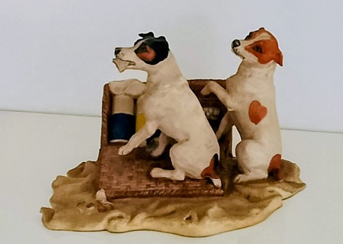 Heredities jack russells - heredities,