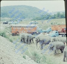1950s 120 Med Film Slide Clyde