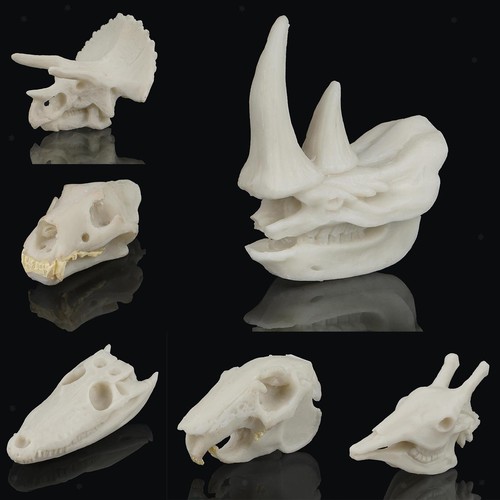 Aquarium decoration resin - aquarium,