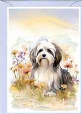Havanese Dog Greetings Card