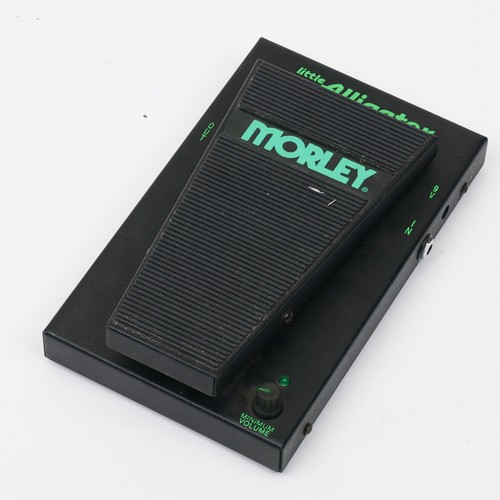 Morley little alligator - morley,