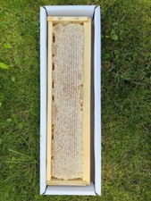Pure Natural Raw Honey Comb