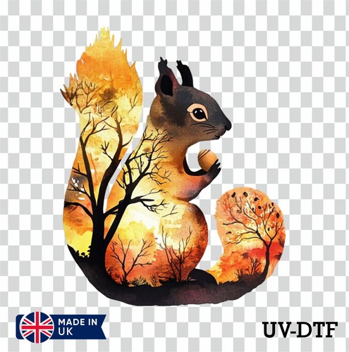 Exposure squirrel dtf - exposure,