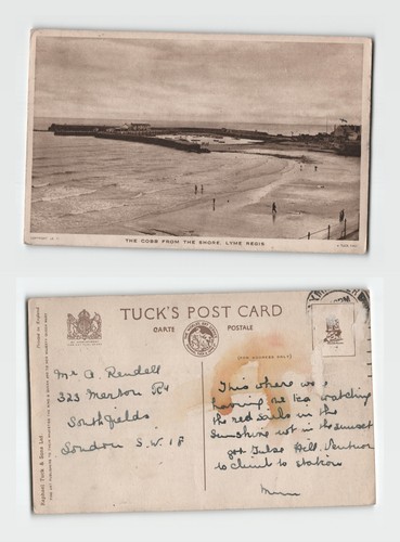 Postcard the cobb from - -,