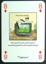 1 x playing card Magnificent